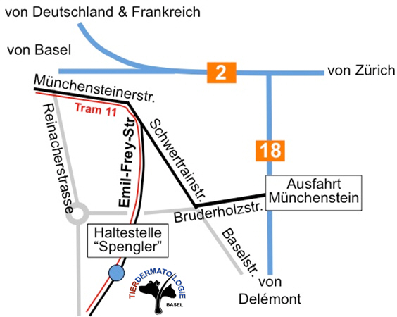 Hauttierarzt und Tierdermatologie Basel_Weg